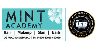 Mint Academy CG Road Ahmedabad